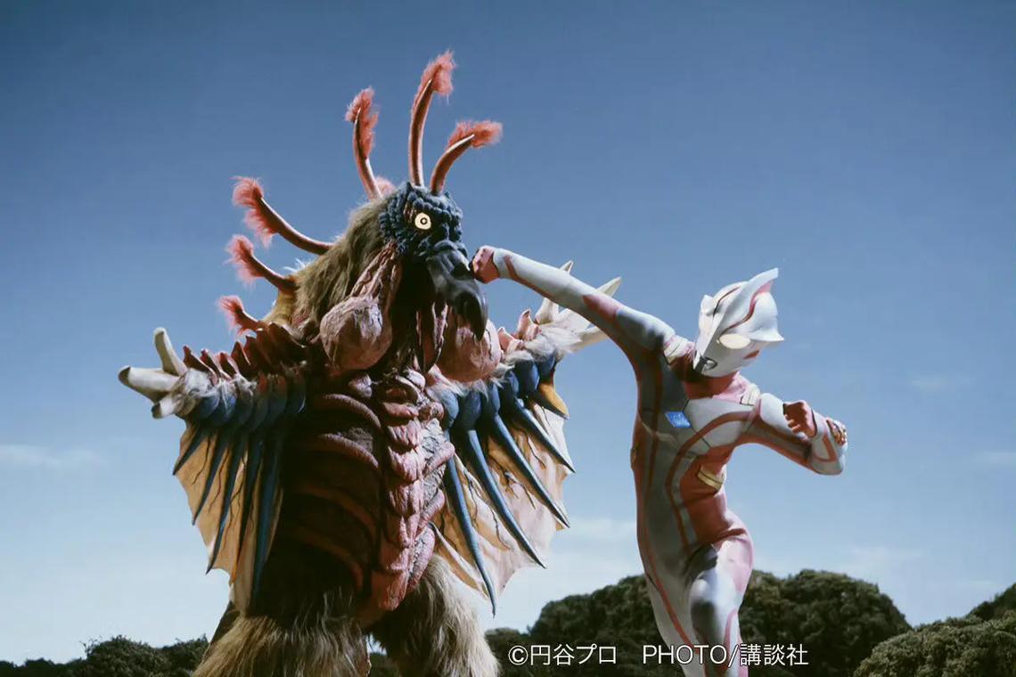 梦塔比